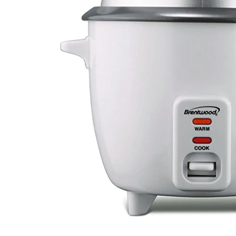 TS-380S 10-Cup Uncooked/20-Cup Cooked Rice Cooker and Food Steamer White 2