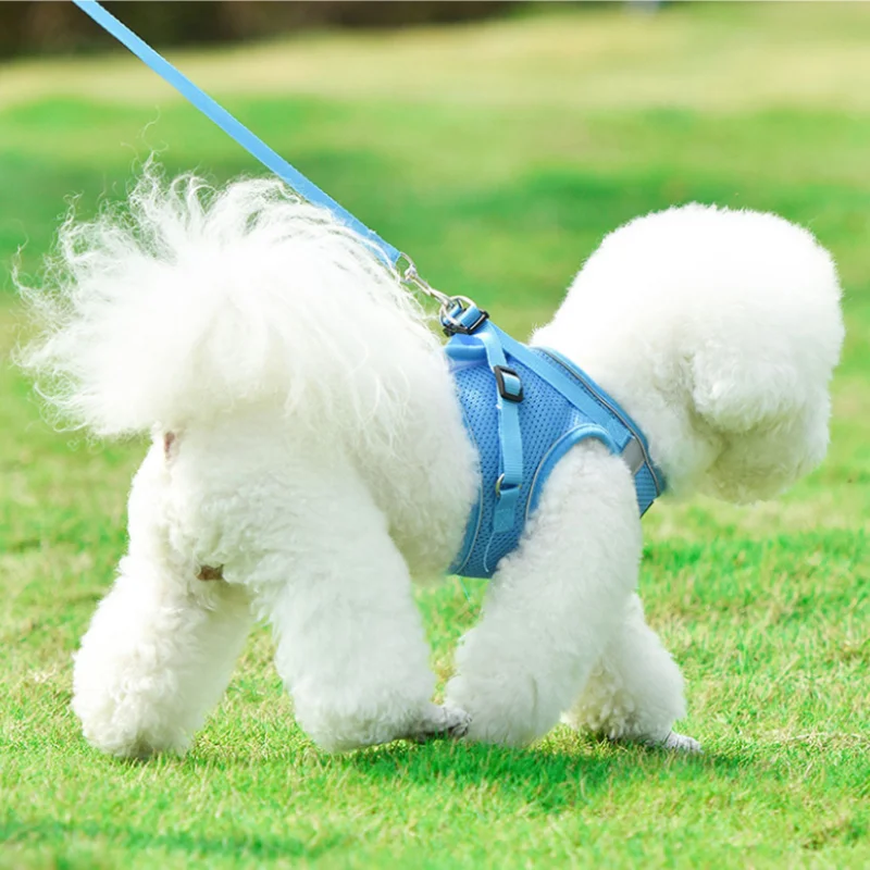 

Automatic Retractable Dog Leash with Bone Printing, 1.5m Traction Rope for Small and Medium Pet Dogs