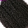 8-40" Afor Kinky Curly Human Hair 3/4 pcs Bundles Deal Brazilian Raw Hair Weave Bundle Virgin Human Hair Extensions Double Weft 3