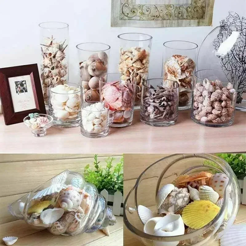 Natural Shell Ornaments 1/50/100pcs Gram Mix Natural Sea Shells Conch Coquillage Beach Decor Craft Marine Style Fish Tank Seashells Conch Embellishment