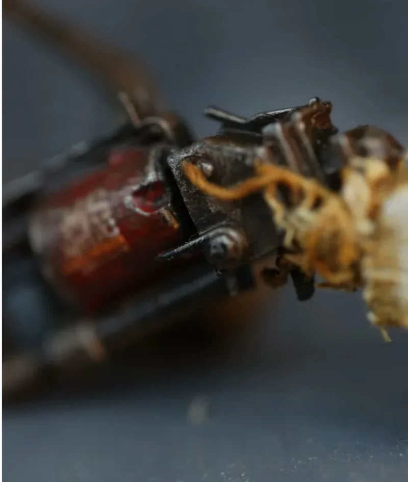 1/6 Scale Soldier Revolver Model for 12'' Waste Soil Style