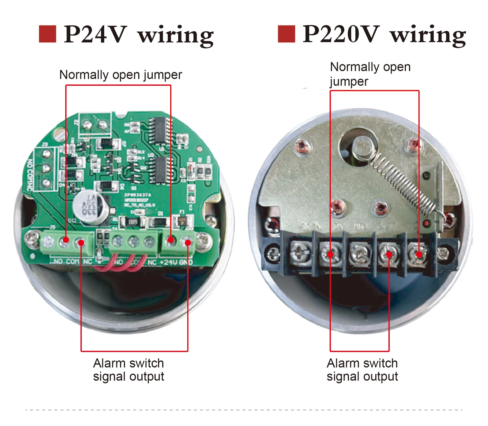 High-Temperature Paddle Level Switch rotary paddle level switch bulk solids sens