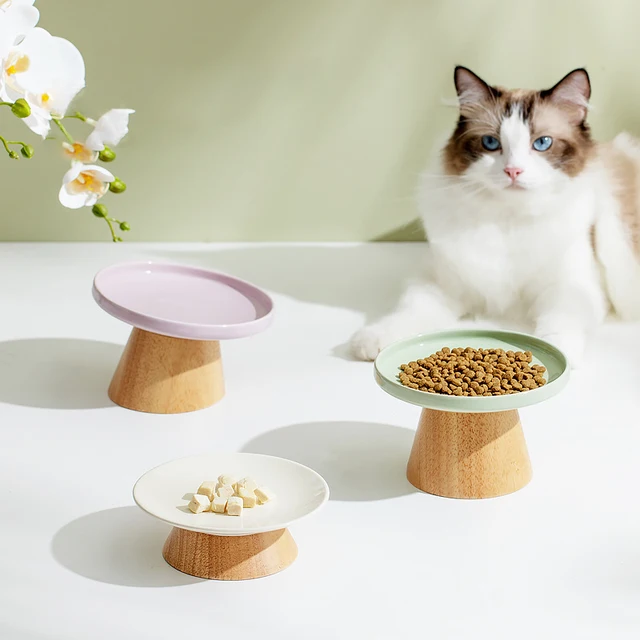 Cat Ceramic Bowl Puppy Dogs Food Water Dish Bowls Pet Elevated Canned Snacks Dining Plate Cats Small Dogs Feeding Supplies Cat Ceramic Bowl Puppy Dogs Food Water Dish Bowls Pet Elevated Canned Snacks Dining Plate Cats Small Dogs Feeding Supplies