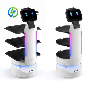 Consegna cibo umanoide intelligente e cameriere al dettaglio - Robot ristorante