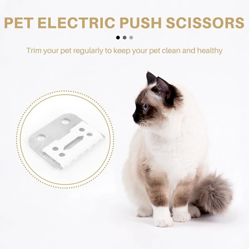 Slide image 34b1e2fc1e8647e2a1aae68a6f507e2b