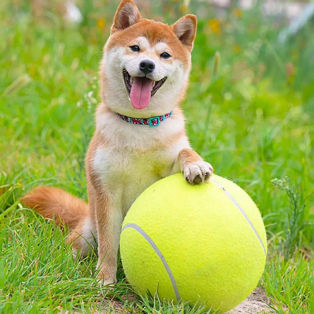 Palline Da Tennis Giganti Per Cani – Confezione Da 4 Da 10,2 Cm | Gomma Naturale E Feltro, Colori Fluorescenti, Con Sacco Rete