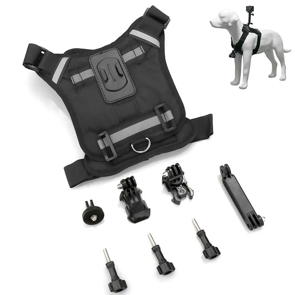 Chien en mouvement avec le harnais de maintien et la caméra action Insta360 installée, vue latérale.