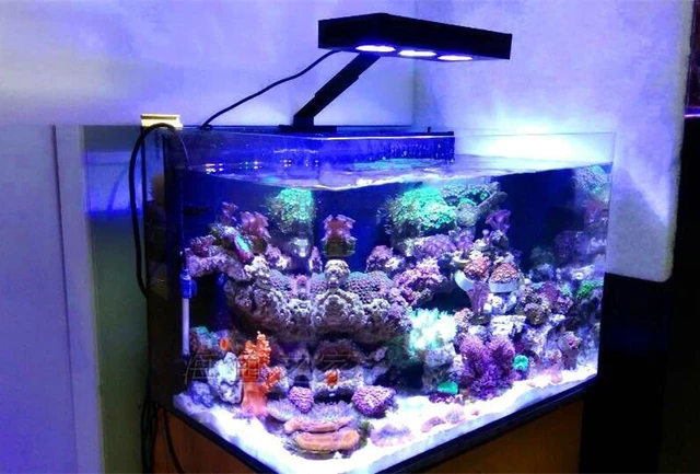 Lominie - Luz LED para acuario de espectro completo, luz de tanque de peces  de agua dulce y agua salada para coral, arrecife, tanque de nano acuario