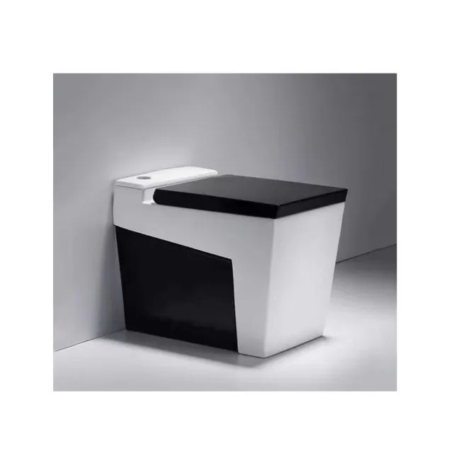 

Chaozhou Sanitary Ware Ceramic Black And White Color Matching Smart Toilet