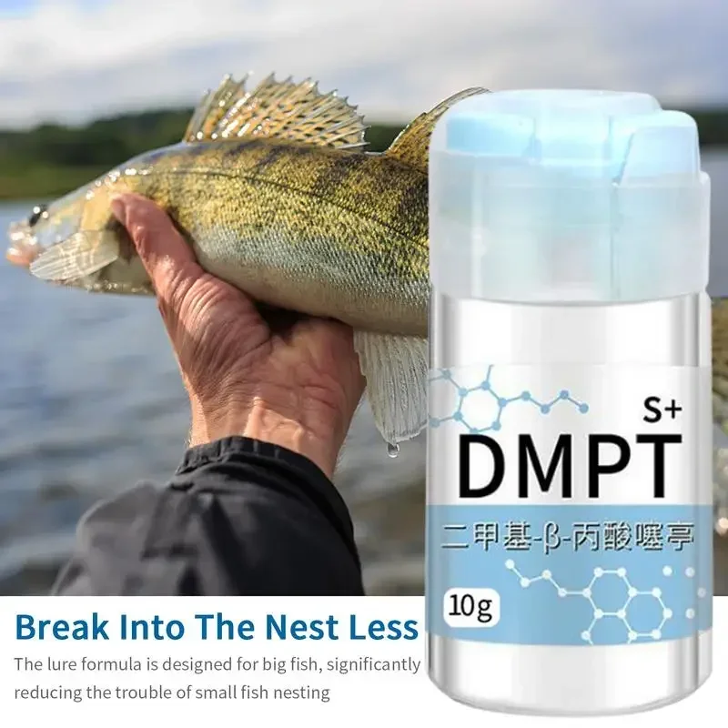 Gel attractant DMPT nouvelle formule pour carpe cruciane appât soluble irrésistible senteur