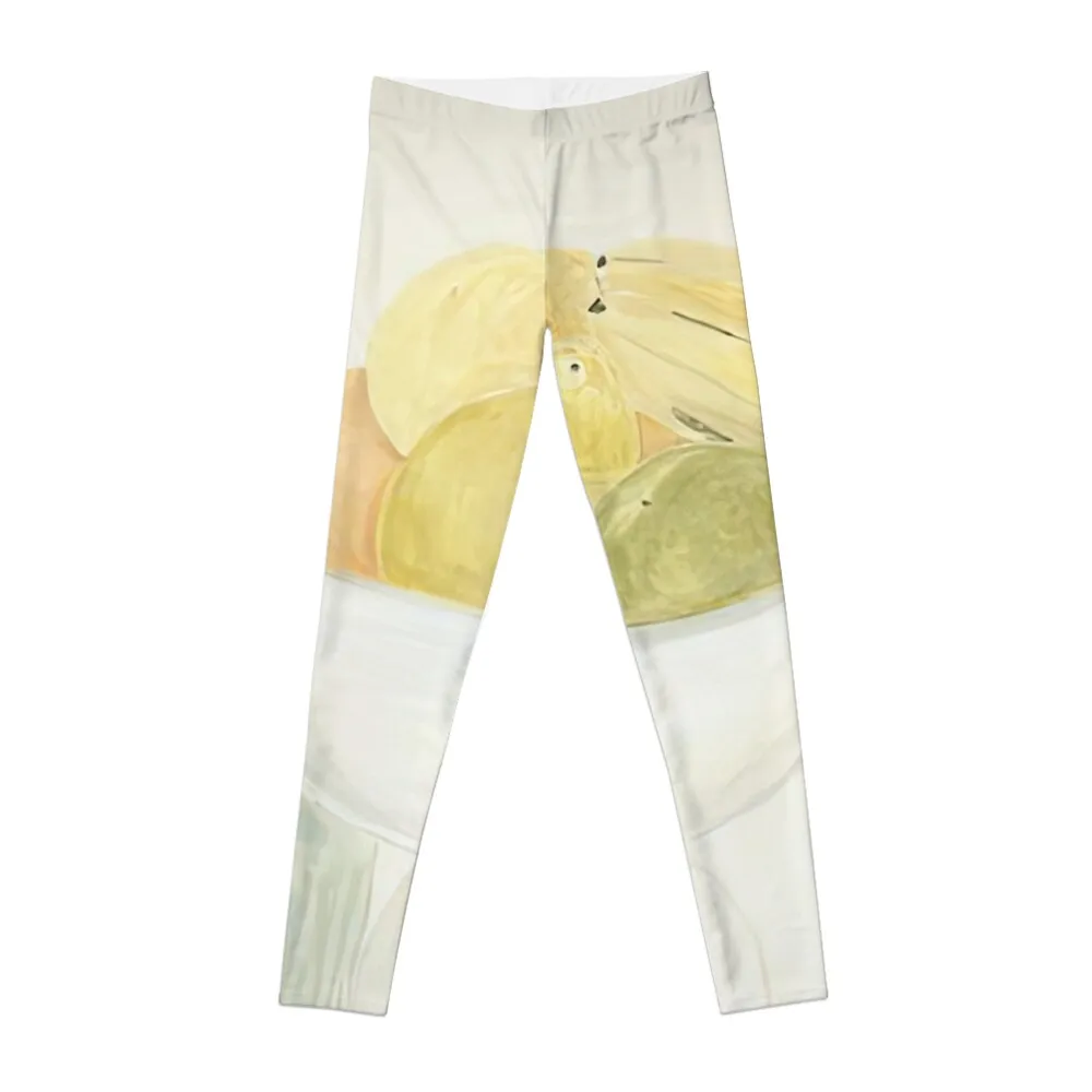 

Still Life with Fruit Leggings trousers Leginsy push up for physical Women's sports pants Womens Leggings