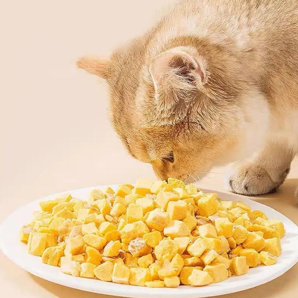 FreezedriedEggYolksCatDogSnack100g200gsupplementLecithin