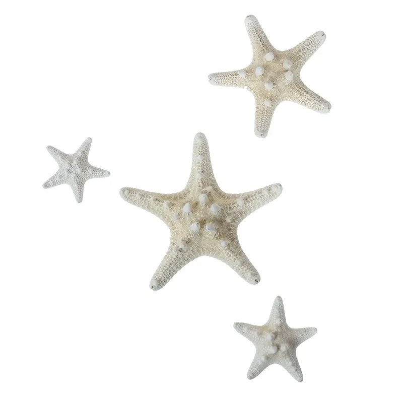 2-14cm Natural Starfish Seashell Beach Craft Natural Sea Stars DIY Beach Wedding Decoration Crafts Home Decor Epoxy natural shell ornaments resin starfish ornaments