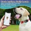 Dog Collar for Small to Large Dogs, Reflective Nylon No Pull Choke Collar with Locator Protective Cover, Metal D-Ring & No Buckl 2