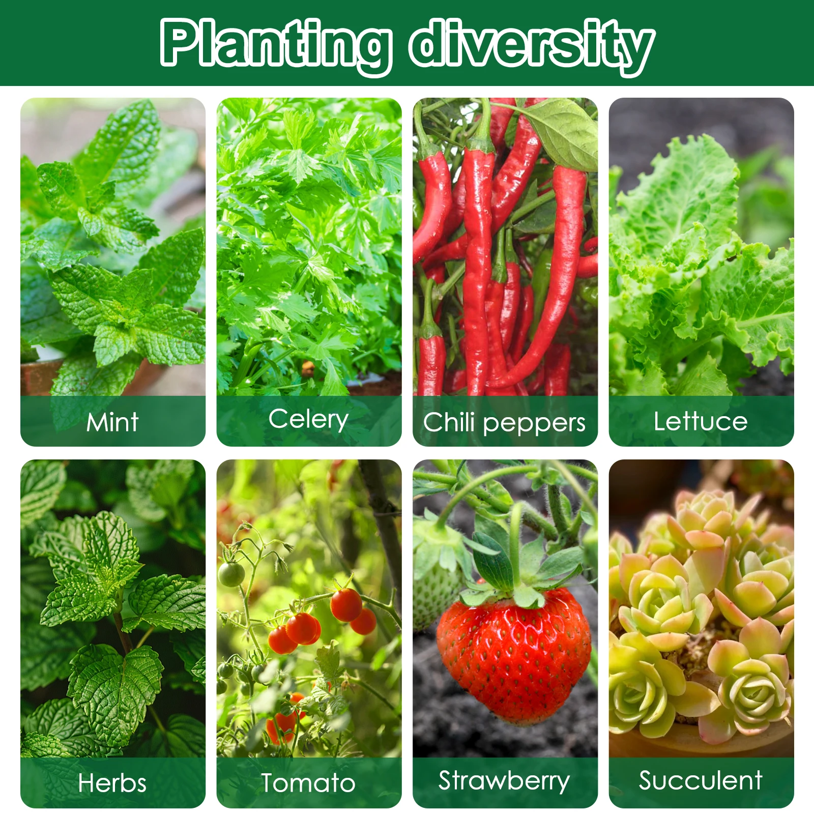 50Pcs Grow Sponges Hydroponic Starter Plugs Gardening Seed Starter Sponges Slant Incision Sowing and Cutting Substrate Block