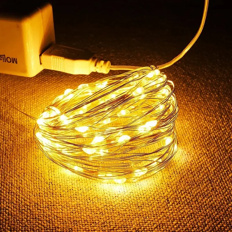 USB-LED-String-Lights-5M-Silver-Wire-Garland-Light-Waterproof-Fairy ...