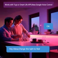 ไฟใต้ตู้ Tuya WIFI DC12V RGB ปรับสีได้ ไฟเพ็กซ์หรี่แสงได้ สำหรับเทศกาล ตู้เสื้อผ้า ห้องนอน ห้องครัว ใช้ได้กับ Alice Alexa และ Google Home 4