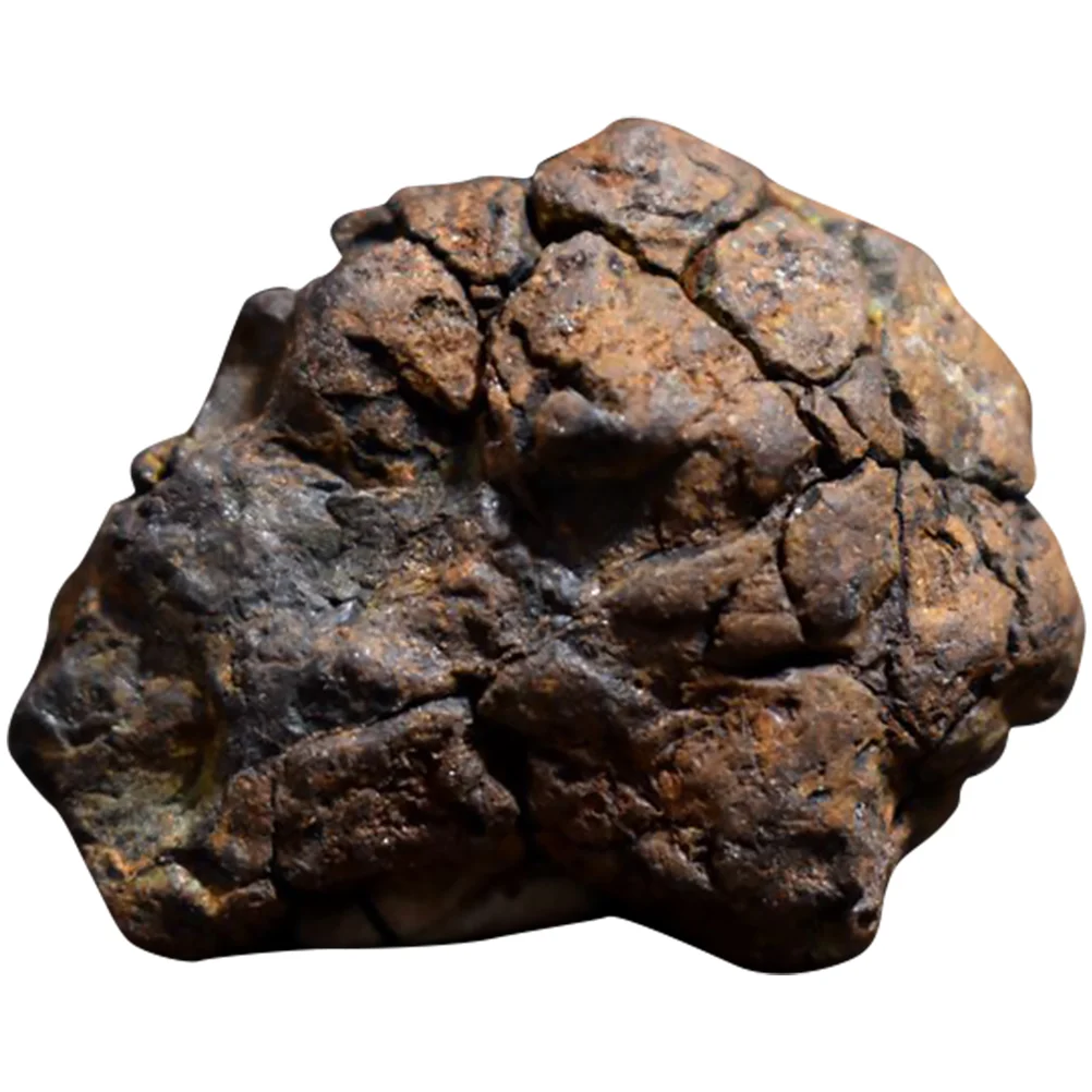 

Specimen Iron Meteorite Olive Child Decor Scientific Lithosiderite Teaching Tool