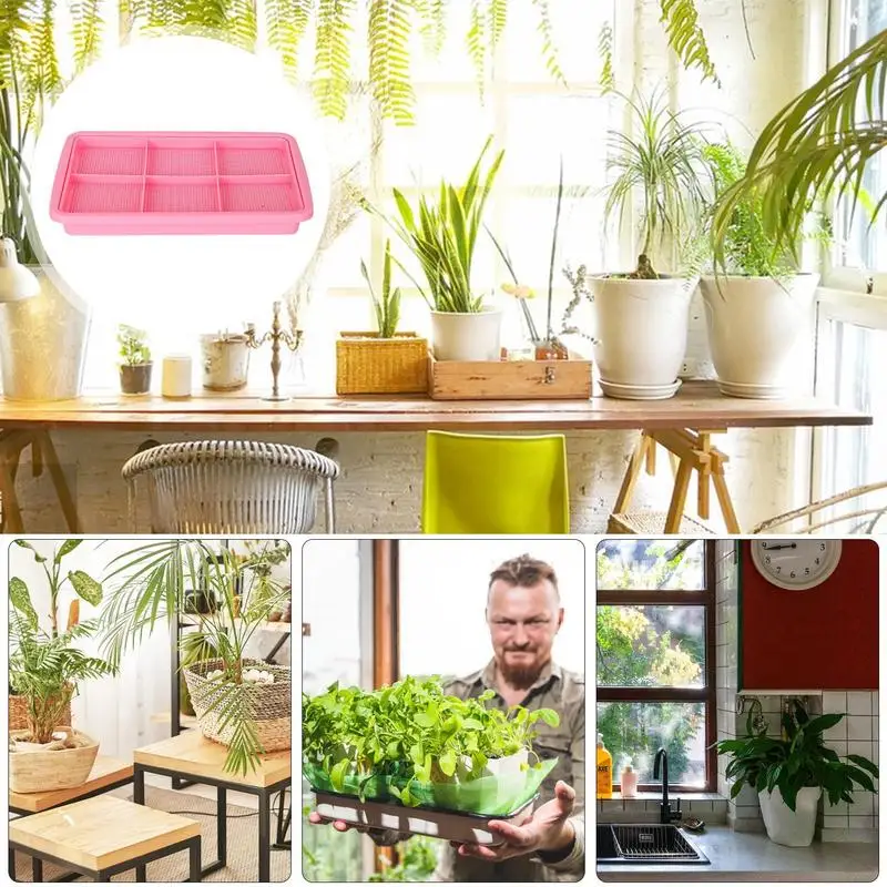 Seedling Sprouter Tray Plant Tray Seedling Tray Propagation Tray Large Capacity Wheatgrass Grower Microgreens & Nursery Tray For 5