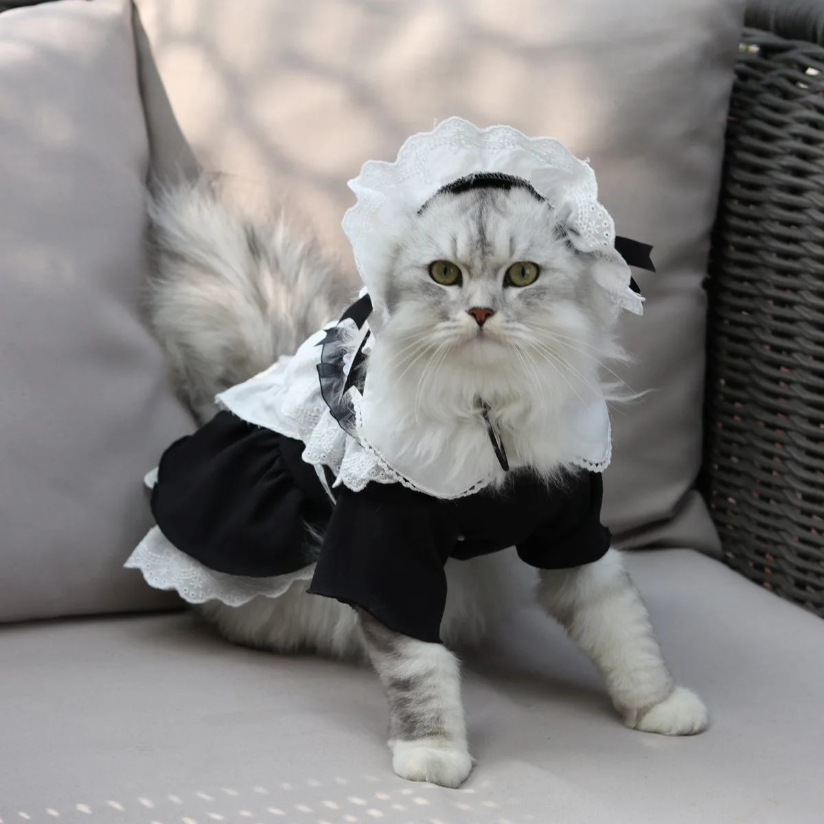 

Cat Maid Costume Spring and Summer Cos Uniform Transformed Into Cat Clothes Pet Skirt Puppy Clothes