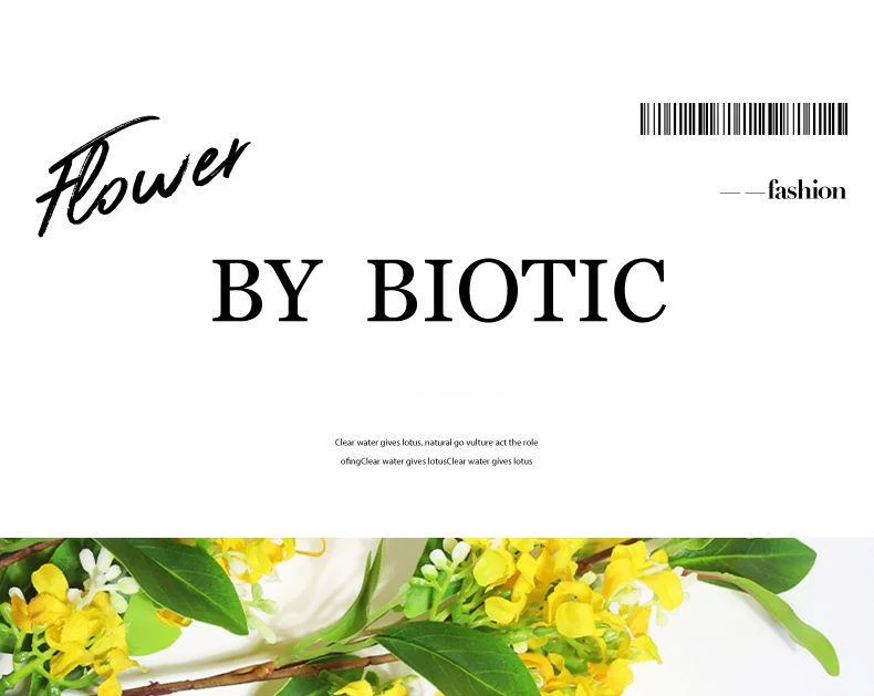 2024 ny parfym Osmanthus parfym för män och kvinnor Beständig doft för studenter Liten fräsch parfym blommig ton_voghion.com