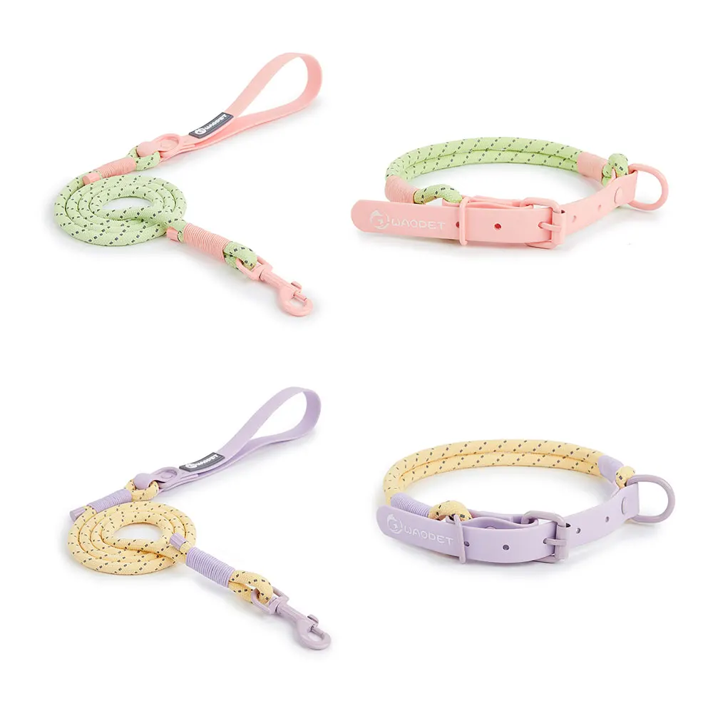Pet Supplies Dog Collar For Small and Medium Dog Walking Sugar Color Series Cute style PVC Webbing Collar Leashes Set