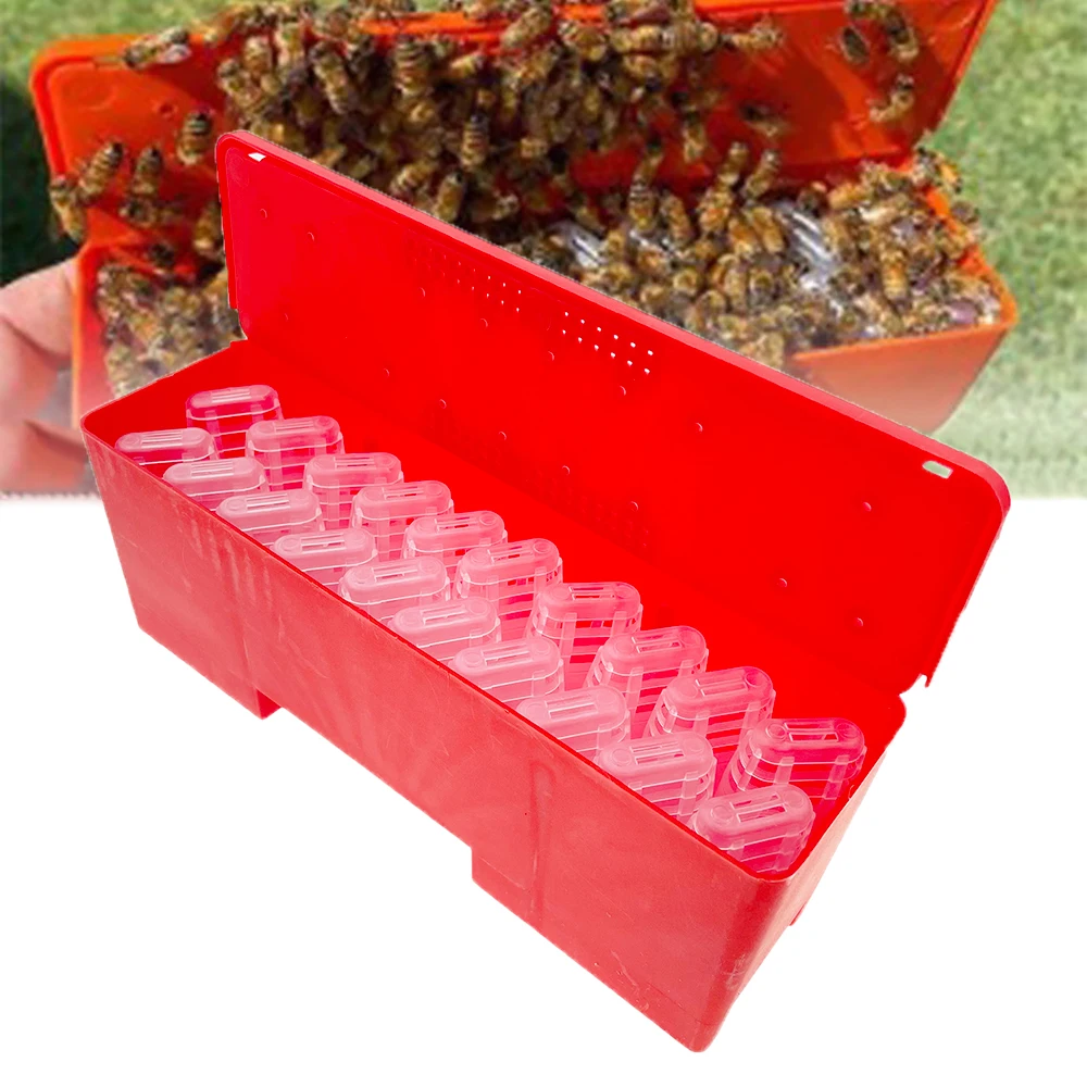 

Jz's Bz Королевский ящик для доставки контейнер для батарей изоляционный захват клетка для птицеводства инструменты для выращивания пчеловодства