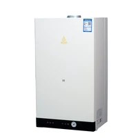 Hot Selling Geyser Water Heater ISO9001 20KW Wall Hung Gas Boiler 1