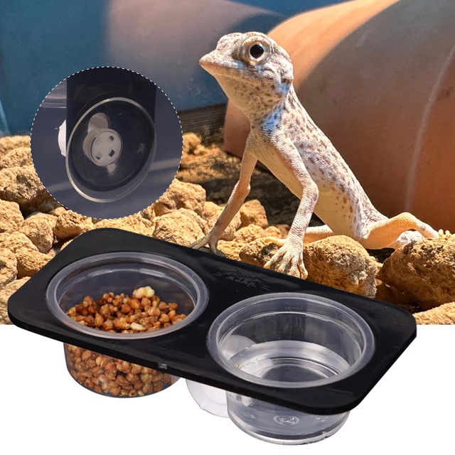 Reptiles & Amphibians Lizard Gecko Suction Cup Feed Bowls Food Container with Bowl for Reptile Food and Water Feeding 2