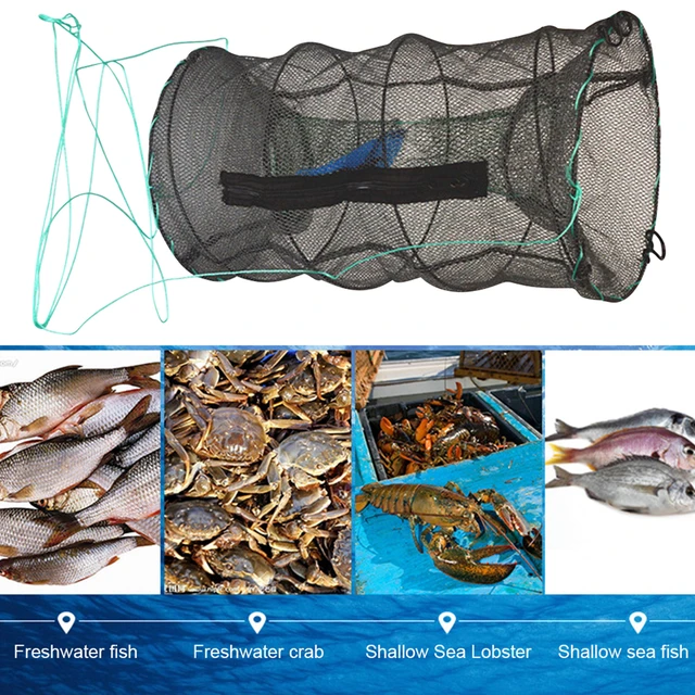 Fishing Brail Landing Net Portable Fishing Landing Dip Net Folding Fishing  Net Trap for Shrimp Crayfish Crab Baits Fish Netting - AliExpress