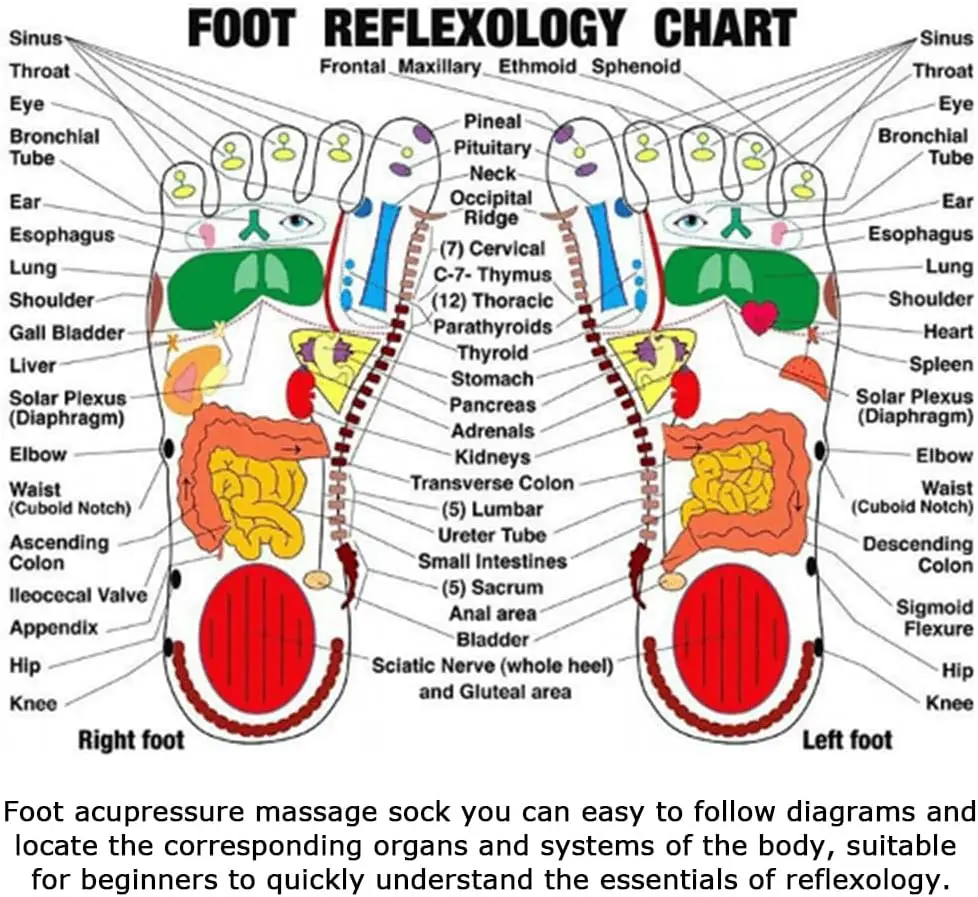 Foot Massage Acupressure Socks Physiotherapy Massage Relieve Tired Feet Reflexology Socks Foot Point English Illustration