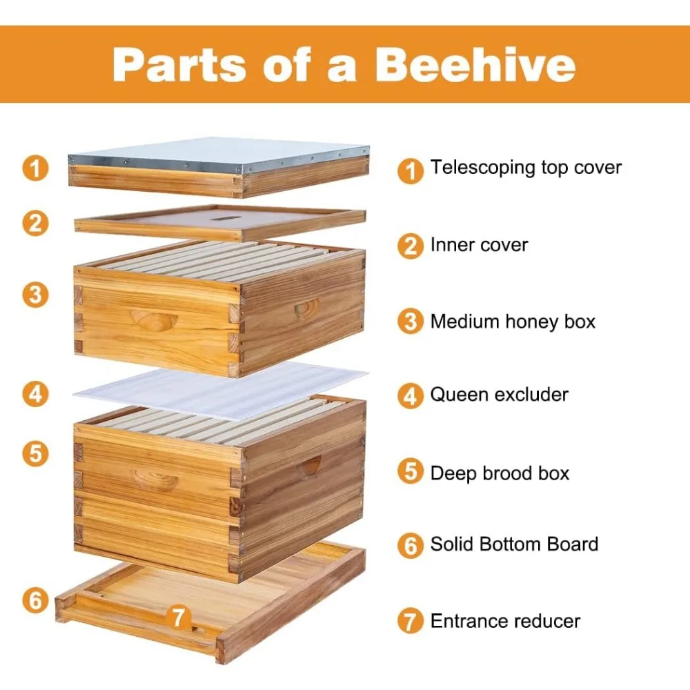 8 Frame Bee Hive Complete Beehive Kit Beeswax Coated Include Frames and Foundation Sheet for for All Beekeeping Levels