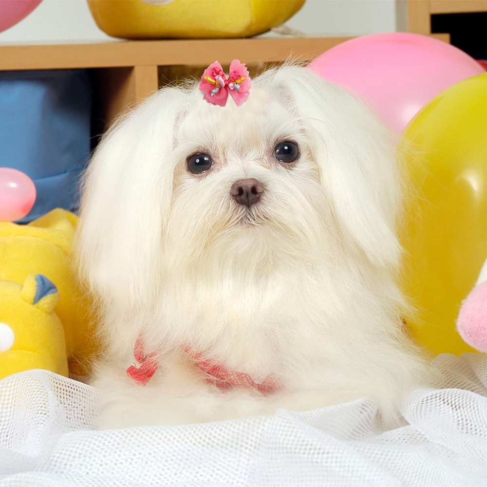 50PCS Pet Hair Accessories Lace Dog Bows With Rubber Bands Handmade Cute Cat Bows Yorkshire Puppy Bowknots Pet Supplies For Dogs 5