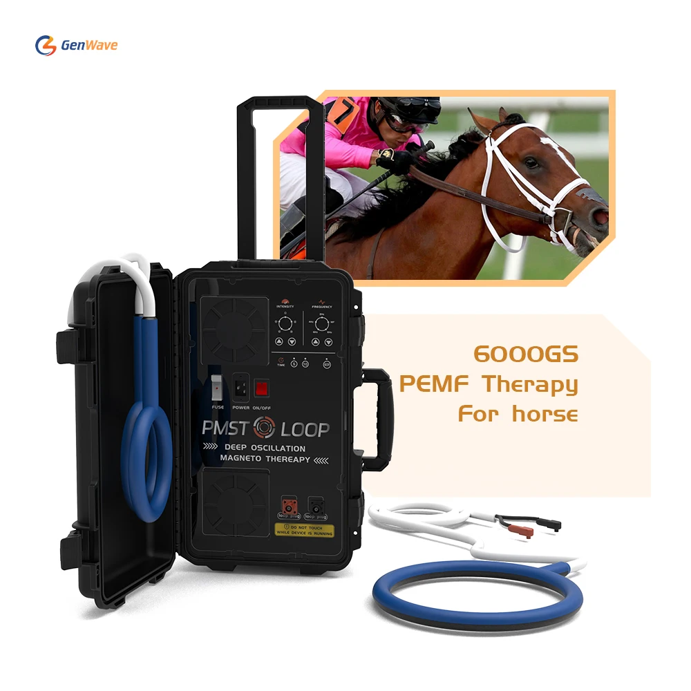 Vet Therapy Machine Equine Pemf Device Pmst Loop Per Veterinari Equini Barn Holders And Trainers Use