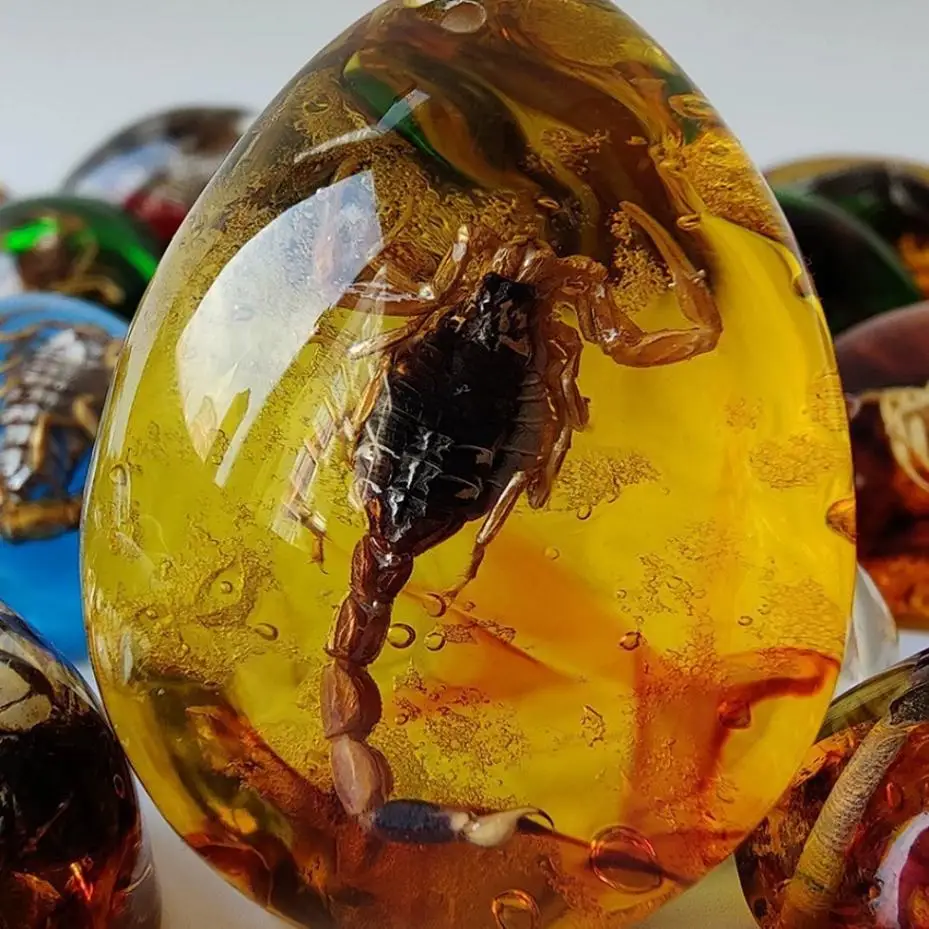 1 Pcs Pendant Inclusion Scorpions Necklace Charms Home Decorative Stone Travel Gift Resin Handmake Jewelry Amber Natural Insects