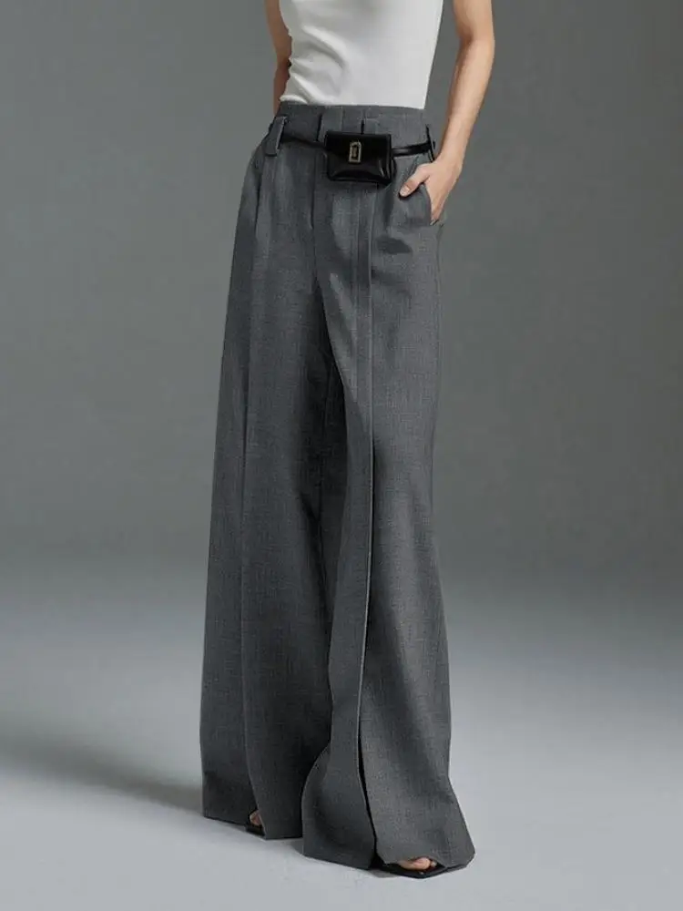 Lemongor Urban Office Lady Fashion Split-Front Pleated Wide Leg Suit Pants Spring Autumn High-Waisted Casual Trousers For Women