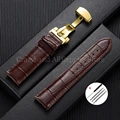 Brown-Gold