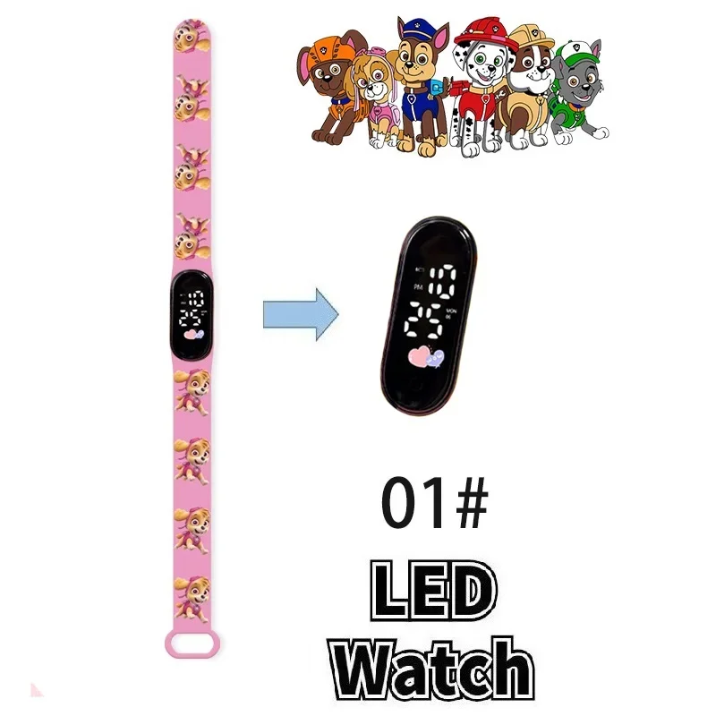 dsc-products