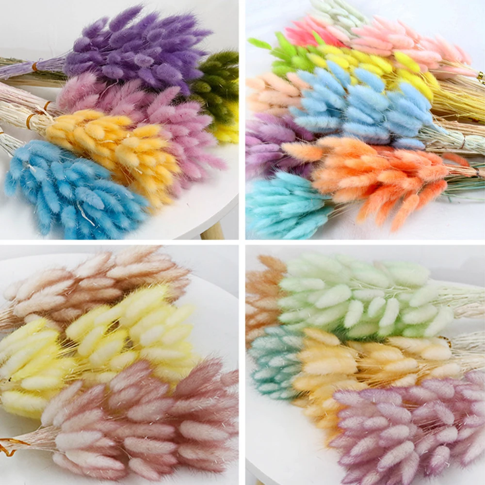 Рисунок 2 - букет зайцевых хвостов