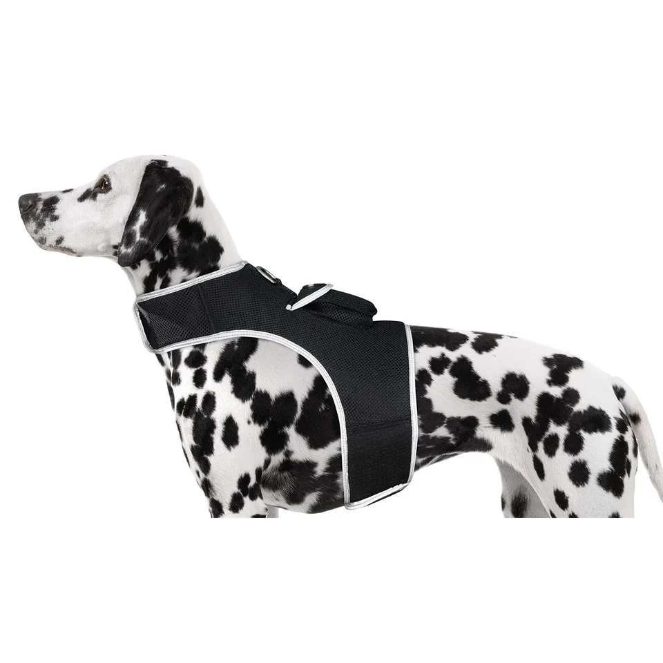 Real Time GPS Pet Tracker Comfortable Harness XS Size