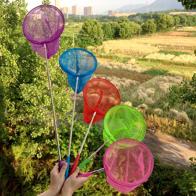 Children's Fishing Net Rainbow Beach Retractable Kids Butterfly Insect  Catching Small Fish Catching Net - AliExpress