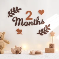 0-10 Digital Milestones Newborn Baby Milestone Wool Felt Digital Milestone Card Baby Newborn Photo Accessories Photography Gifts 2