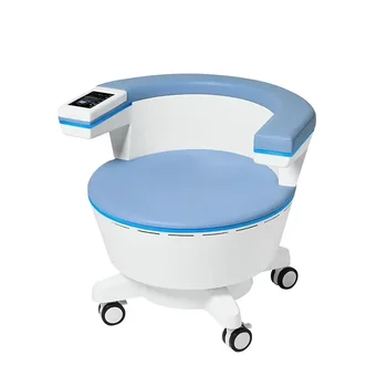 EMS Pelvic Floor Therapy Chair 1