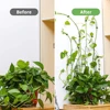 Invisible Plant Climbing Wall Fixture Clips 10-50Pcs PcsRattan Vine Bracket Fixed Buckle Leaf Clips Traction Holder Garden 6