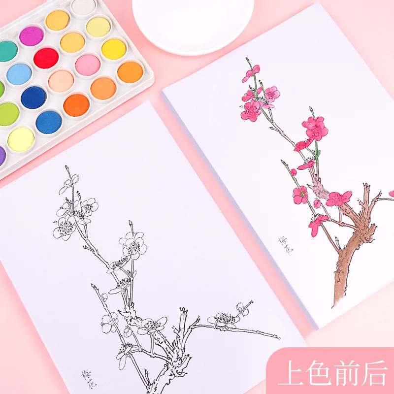 중국화 입문, 흰색 그림 그리기, 복사 앨범, 그림 원고, 그림 재료, 색칠 공부 책