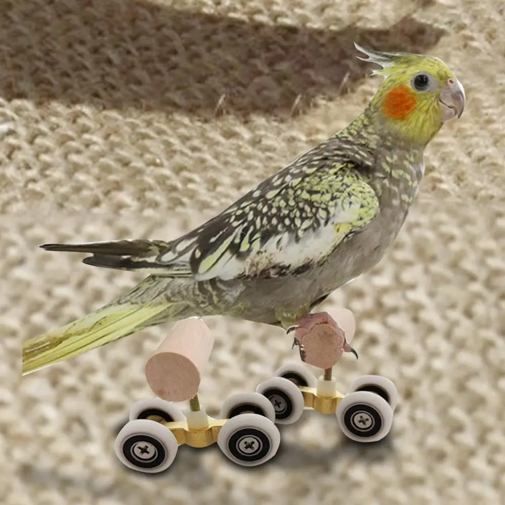 Mini Toy Parrot Roller Skates Double Row Pet Intelligence Training Supplies