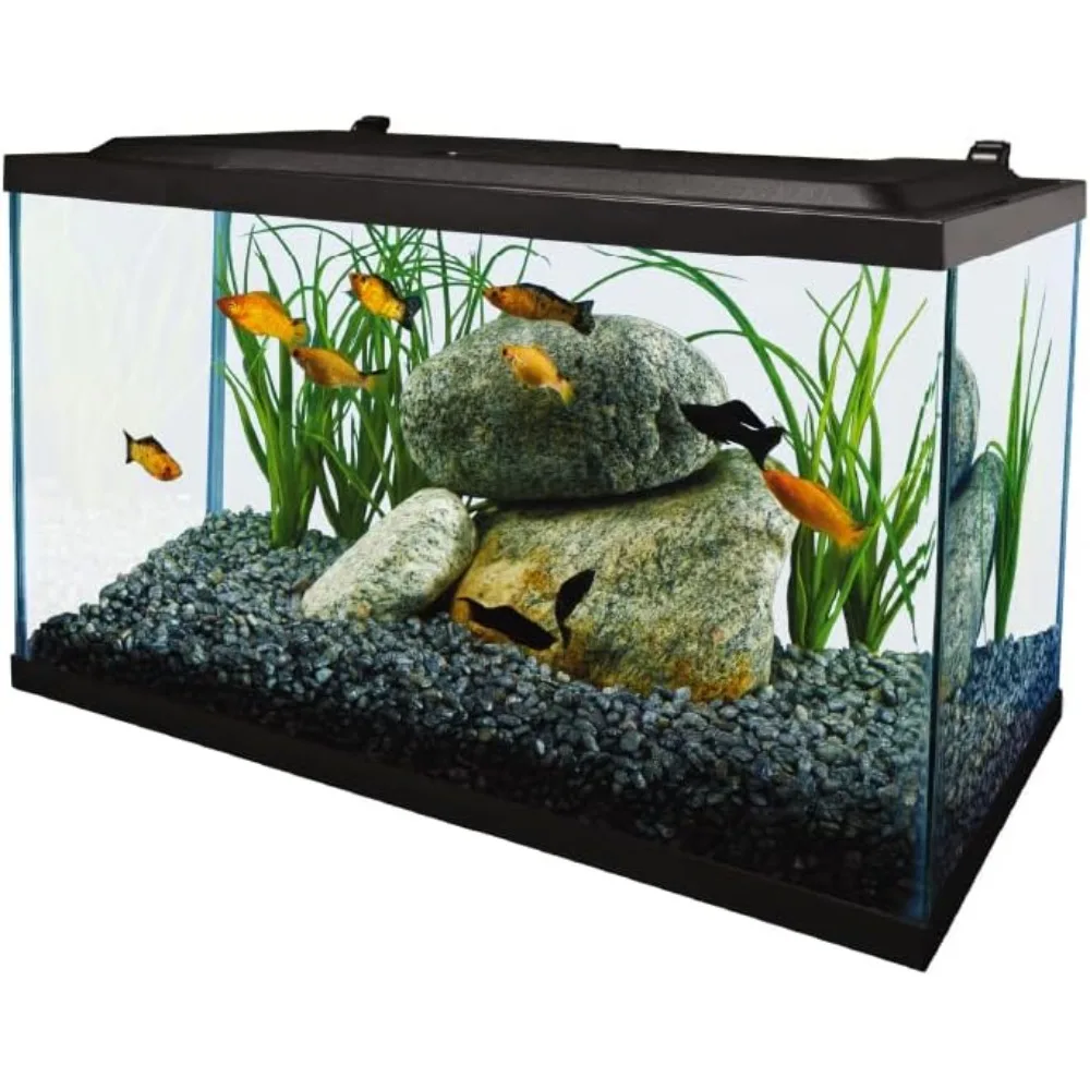 Tropical Fish Tank Kit 2