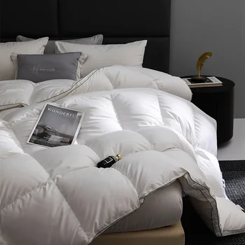 Couette en duvet 4 saisons de qualité hôtelaire : duvet d'oie pur à 95%, 1000 propreté, toutes tailles disponibles 1