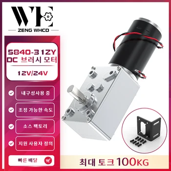 5840-31ZY 웜 기어 DC 기어 모터, 속도 조절 가능, 역방향 자동 잠금, 높은 토크, 더블 샤프트 기어 모터, 12v24v, 7RPM-470RPM