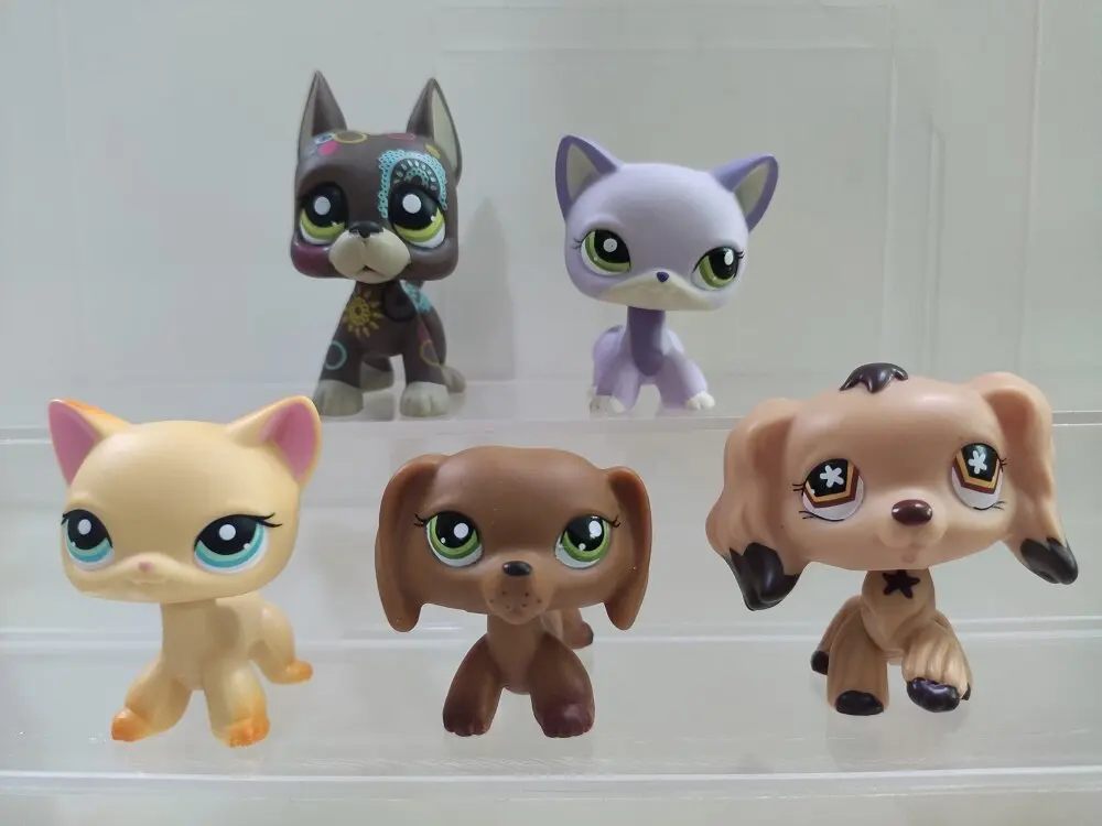 Pet Shop Cats and Collie Dachshund Great Dane Cocker Spaniel Dogs Grab Pack(5pcs  Random Toy) Figure Cute Toy Kids Boy Girls Gift - AliExpress